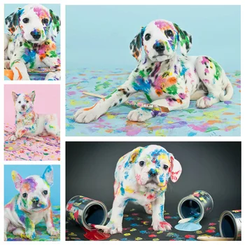 AZQSD לצייר ציור שמן על ידי מספרים להגדיר הכלב חיה בעבודת יד ציור על בד 60x75cm ממוסגר עיצוב הבית Artcraft על בד